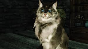 The Cat